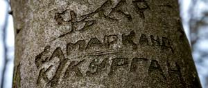 Kyrillische Ritzereien finden sind nicht nur in Biesdorf, sondern wie hier auch im Berliner Umland.