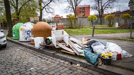 Der Berliner Senat hat nun nach jahrelangem Ärger darüber entschieden, dass die BSR künftig für alle „unrechtmäßig abgelagerten Abfälle“ zuständig sein wird.