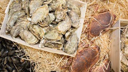 Austern und Muscheln im Supermarkt. 