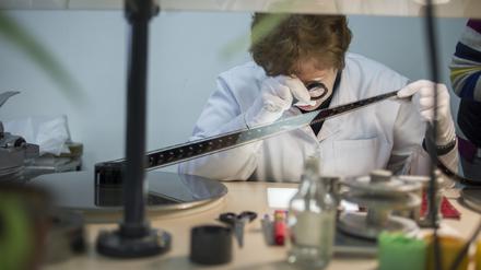 Arbeit am Dovzhenko Zentrum in Kiew.