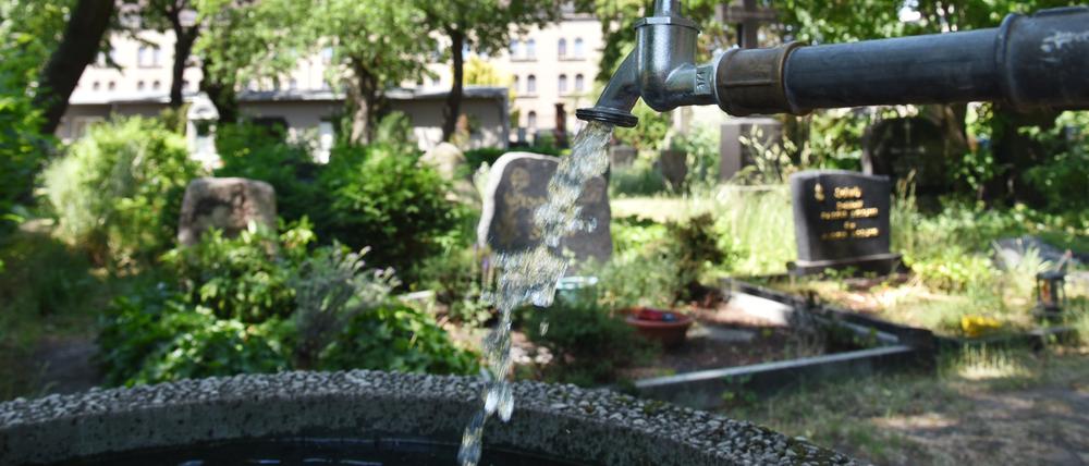 Der Friedhof vor dem Halleschen am Mehringdamm in Berlin-Kreuzberg soll bei der Entwicklung des Dragonerareals und des Rathausblocks aufgewertet werden. Die Stiftung Zukunft Berlin hat dazu einen 10-Punkte-Plan entwickelt. Aufgenommen am 18. Juni 2021.
