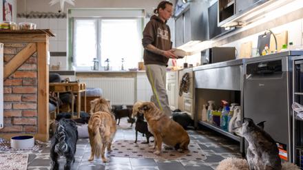 Stephanie Badura bereitet in ihrer Küche eine Mahlzeit für ihre Pflegehunde zu.