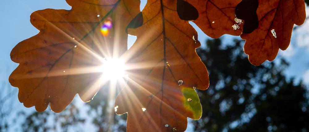 Tiefdruckgebiet „Iris“ sorgt für warme Herbsttage in Berlin