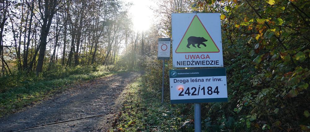 Achtung Bären! 