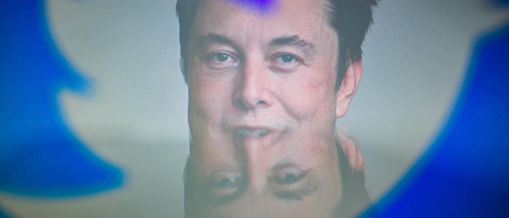 Tech-Milliardär Elon Musk hat Twitter gekauft (Symbolbild).