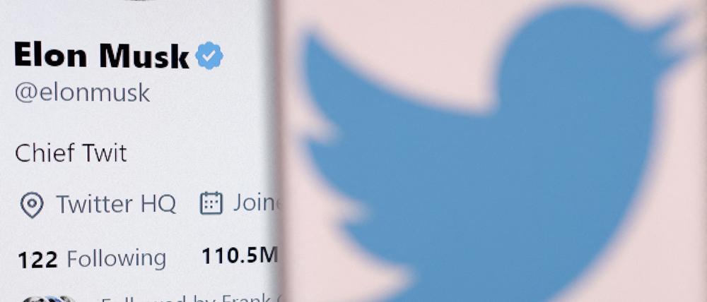 Das Twitter Logo auf einer Illustration.