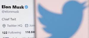 Das Twitter Logo auf einer Illustration.