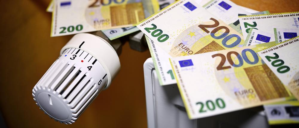 Deutschland muss in der Energiekrise einen Milliardenverlust tragen.