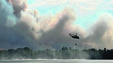 Trockenheit und Hitze haben auch in diesem Jahr in Deutschland zu zahlreichen Waldbränden geführt, wie im Juni im brandenburgischen Treuenbritzen. 