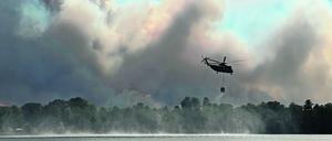 Trockenheit und Hitze haben auch in diesem Jahr in Deutschland zu zahlreichen Waldbränden geführt, wie im Juni im brandenburgischen Treuenbritzen. 