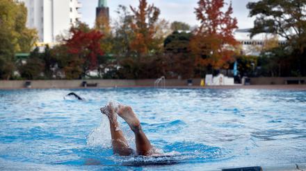 Herbstzeitlose kommen im Prinzenbad auf ihre Kosten.