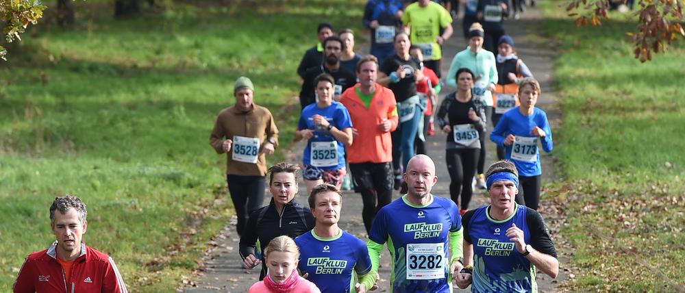 Läufer:innen beim letzten Halbmarathon am Teltower Stadtkanal 2019