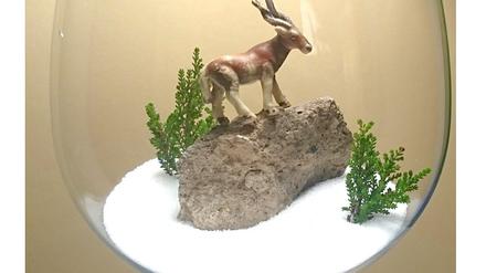 Ein Mini-Terrarium.