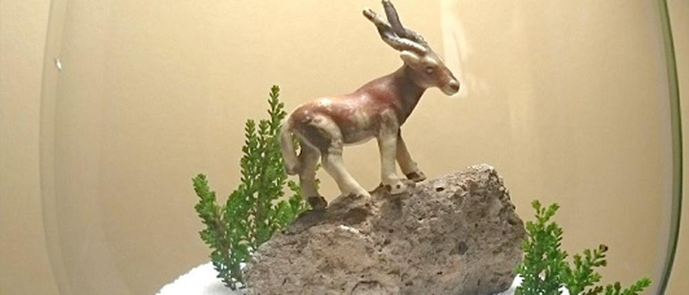 Ein Mini-Terrarium.