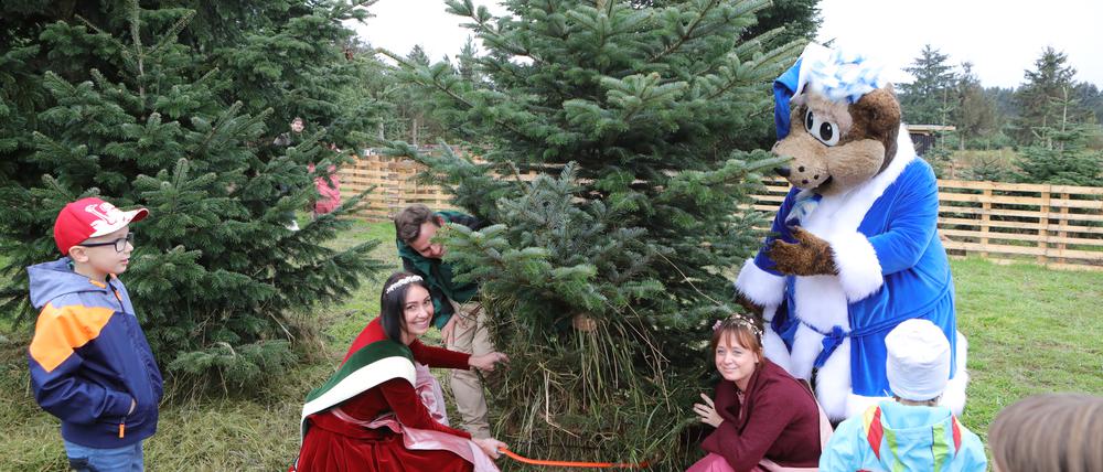 Werderaner Tannenhof startet in die Weihnachtsbaum-Zeit und sägt den ersten Baum, mit der Deutschen Weihnachtsbaum-Königin und dem SOS Kinderdorf.