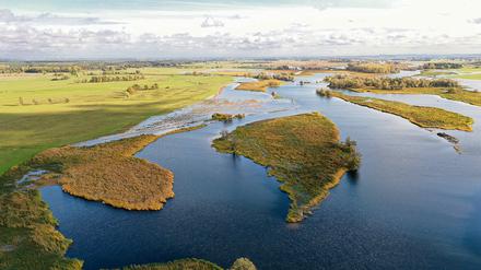 An der Unteren Havel gibt es wieder Sandbänke, wo sich nun die Grüne Flussjungfer in den Kies gräbt. Die seltene Libellenart war in Deutschland über lange Zeit so gut wie verschwunden. Im Bild: der Altarmanschluss Pracher Züge bei Havelberg.