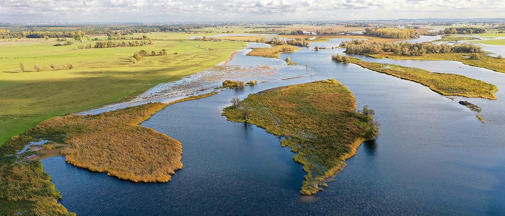 An der Unteren Havel gibt es wieder Sandbänke, wo sich nun die Grüne Flussjungfer in den Kies gräbt. Die seltene Libellenart war in Deutschland über lange Zeit so gut wie verschwunden. Im Bild: der Altarmanschluss Pracher Züge bei Havelberg.
