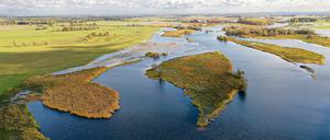 An der Unteren Havel gibt es wieder Sandbänke, wo sich nun die Grüne Flussjungfer in den Kies gräbt. Die seltene Libellenart war in Deutschland über lange Zeit so gut wie verschwunden. Im Bild: der Altarmanschluss Pracher Züge bei Havelberg.