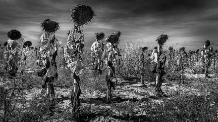 Exodus. Als ich zum Fotoapparat griff, sah ich keine Sonnenblumen mehr, sondern Frauen, die in den Gewändern ihrer Vorfahren über die trockenen Felder Kastiliens liefen. Ein Heer von Geistern - der unaufhaltsame Exodus des spanischen Landlebens.