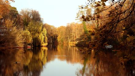 Goldener Herbst am Dianasee im Grunewald.