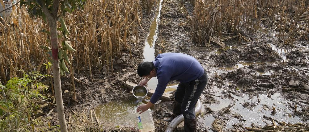 China, Henan: Ein Bauer versucht, ein Maisfeld zu entwässern, das noch Monate nach den sintflutartigen Regenfällen in der Region des Dorfes Zhaoguo unter Wasser steht. Mehr als 800 Millionen Arbeitsplätze weltweit sind der Unternehmensberatung Deloitte zufolge vom Klimawandel und der Energiewende betroffen.