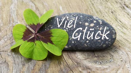 Das vierblättrige Kleeblatt ist ein Symbol für Glück.