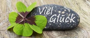 Das vierblättrige Kleeblatt ist ein Symbol für Glück.