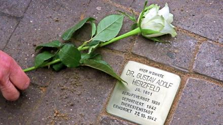 Stolpersteinverlegung vor dem ehemaligen Wohnhaus von Dr.Gustav Adolf Herzfeld in Potsdam Bornim (klaer)