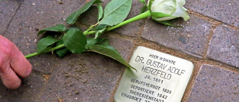 Stolpersteinverlegung vor dem ehemaligen Wohnhaus von Dr.Gustav Adolf Herzfeld in Potsdam Bornim (klaer)