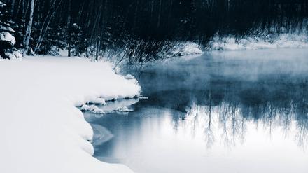Eine Winterlandschaft.