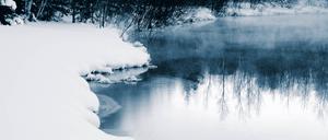 Eine Winterlandschaft.