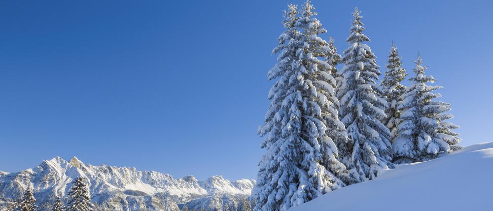 Eine verschneite Winterlandschaft.