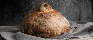 handwerk,brotlaib,kruste,weizenbrot,frischgebacken,beruf,berufe,brot,brote,laib,weizenmischbrot *** craft,loaf,crust,wheat bread,crafts,loafs,crusts 539-gg6