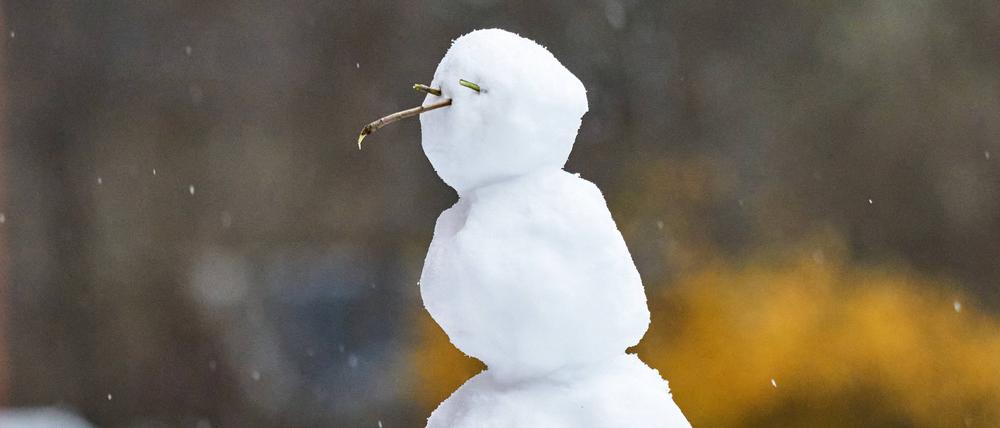 Ein Schneemann.