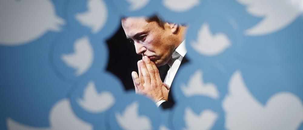 Musk hat mit Twitter Großes vor.