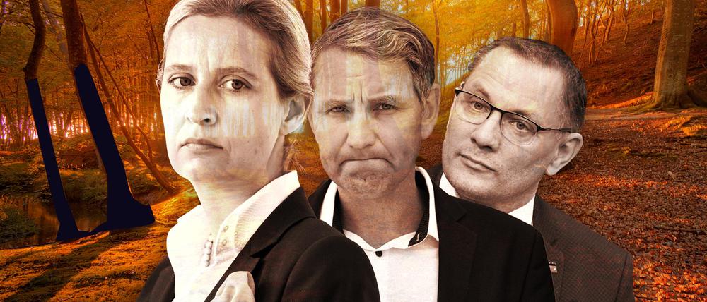 AfD-Vertreter Alice Weidel, Björn Höcke und Tino Chrupalla.