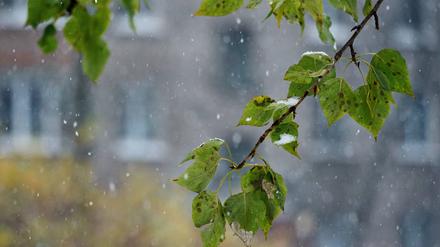 Schneefall im November 2022 in Russland.