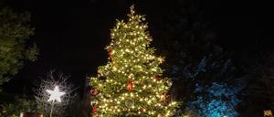 Ein hell erleuchteter und bunt geschmückter Weihnachtsbaum.