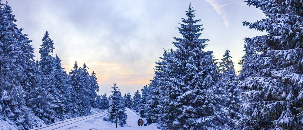 Eine Schneelandschaft im Harz.