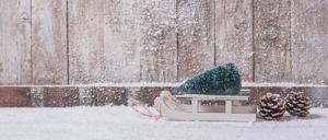 Ein kleiner Schlitten mit einem Tannenbaum steht vor einer Holzwand.