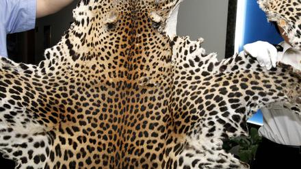 Ein Leopardenfell. (Symbolfoto)
