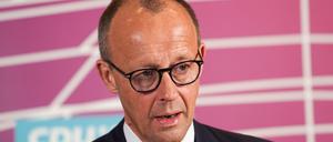 Friedrich Merz sieht die Reform als „Weg in ein bedingungsloses Grundeinkommen“.