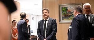 Robert Habeck nimmt an der 17. Asien-Pazifik-Konferenz der Deutschen Wirtschaft (APK) teil.