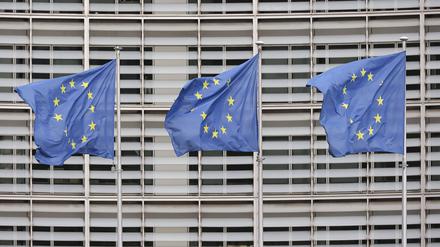 EU-Flaggen.