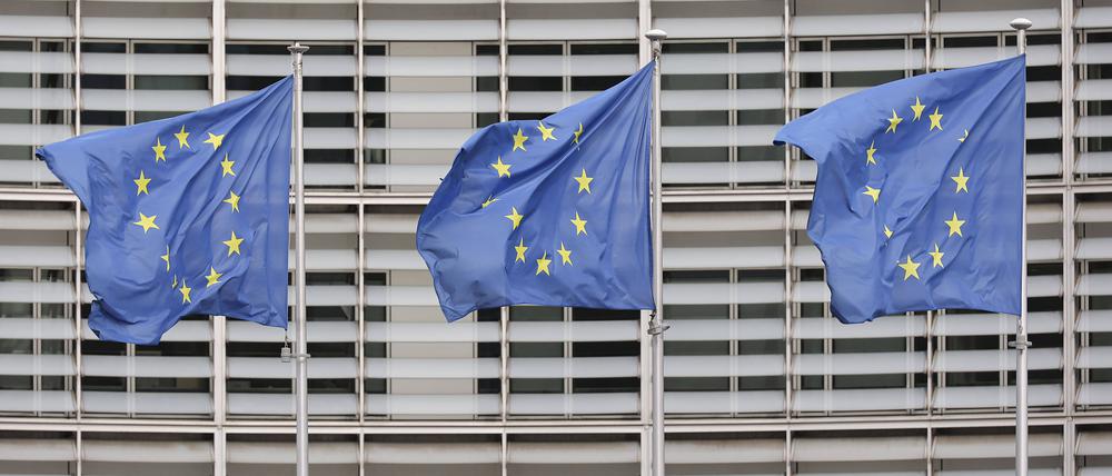 EU-Flaggen.