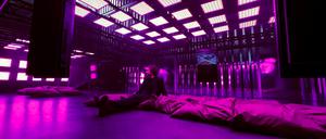 Künstler Sven Sauer in seiner Ausstellung „Tulip Mania“.