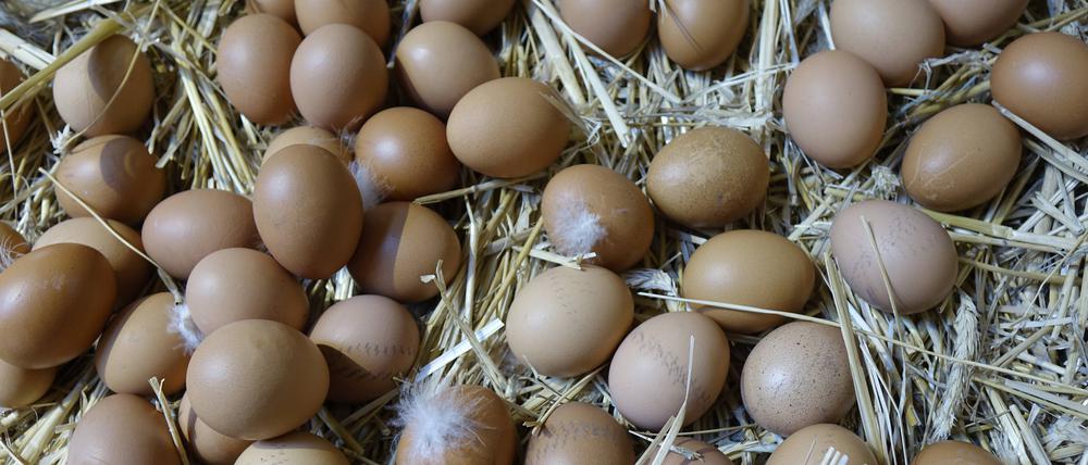 Die Politik soll zum Botschafter regionaler Produkte werden, fordern Brandenburgs Lebensmittelhersteller.