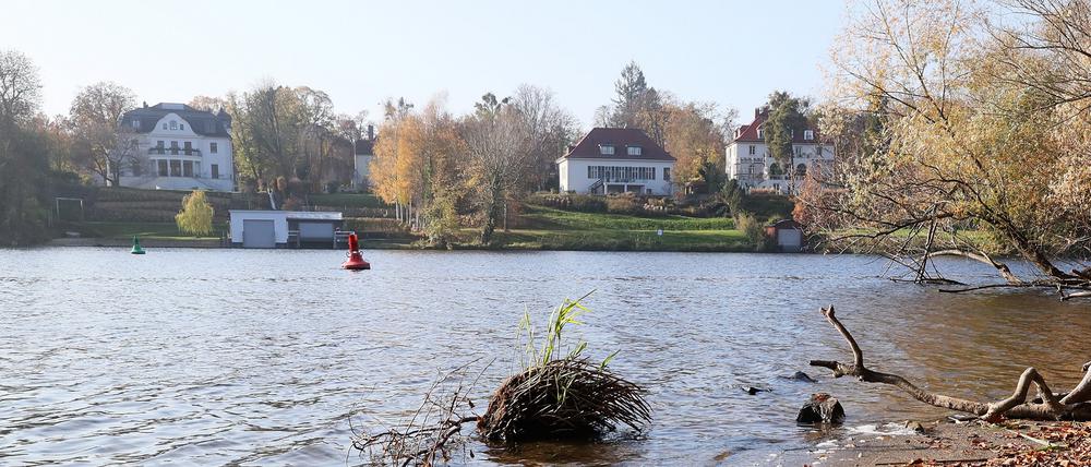Griebnitzsee, Uferblick, Blick von Berlin auf die Potsdamer Seite.