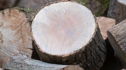 Wer beim Waldbesitzer Holz für seinen Ofen kauft, muss es häufig noch aufarbeiten.
