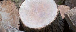 Wer beim Waldbesitzer Holz für seinen Ofen kauft, muss es häufig noch aufarbeiten.